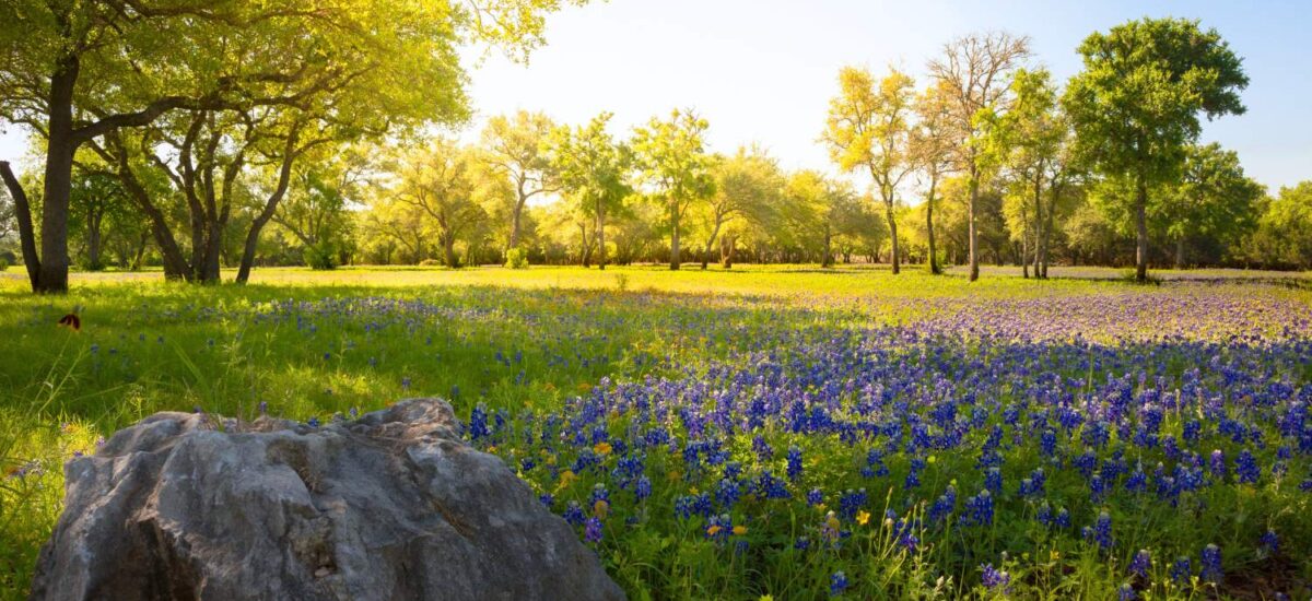 YOUR ULTIMATE SPRING BUCKET LIST: Top Things To Do in Fredericksburg, Texas