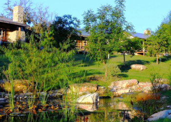 STAY IN FREDERICKSBURG, TEXAS: FINDING THE BEST SPOTS