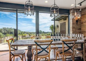THE BEST VINEYARDS WITH A VIEW IN FREDERICKSBURG, TX
